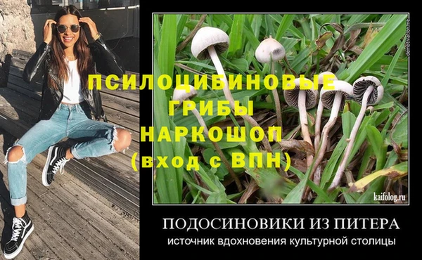 мдма Богданович
