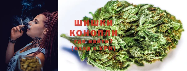apvp Богородск