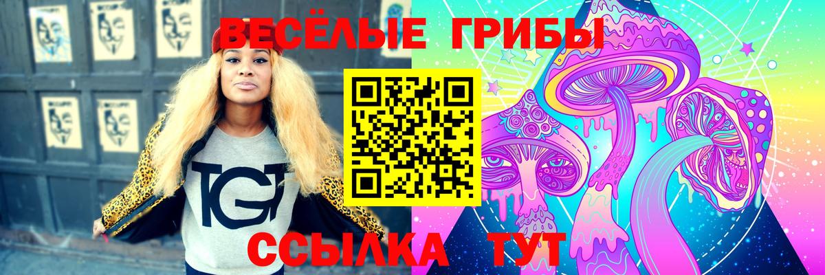 Галлюциногенные грибы Cubensis  Вход с VPN  Псилоцибиновые грибы Psilocybine cubensis  сколько стоит  Среднеуральск 